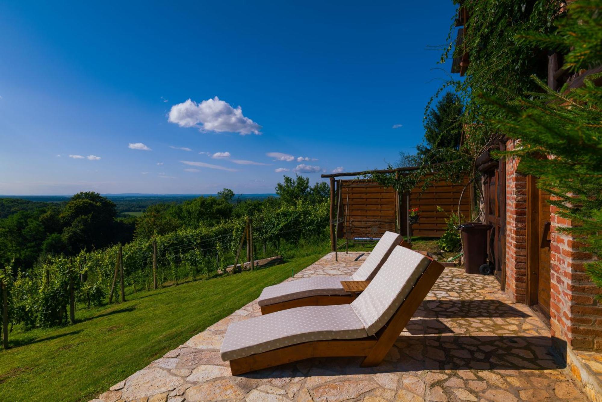 Holiday Home Wine & Relax Sveti Martin Na Muri Gornji Koncovcak Dış mekan fotoğraf