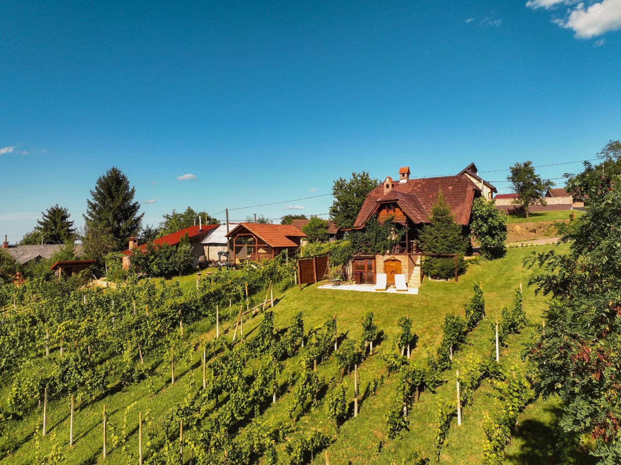 Holiday Home Wine & Relax Sveti Martin Na Muri Gornji Koncovcak Dış mekan fotoğraf